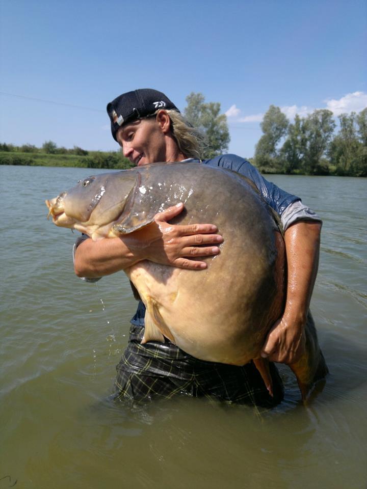 diverse 2 - 3073552454006888373151101076048n.jpg